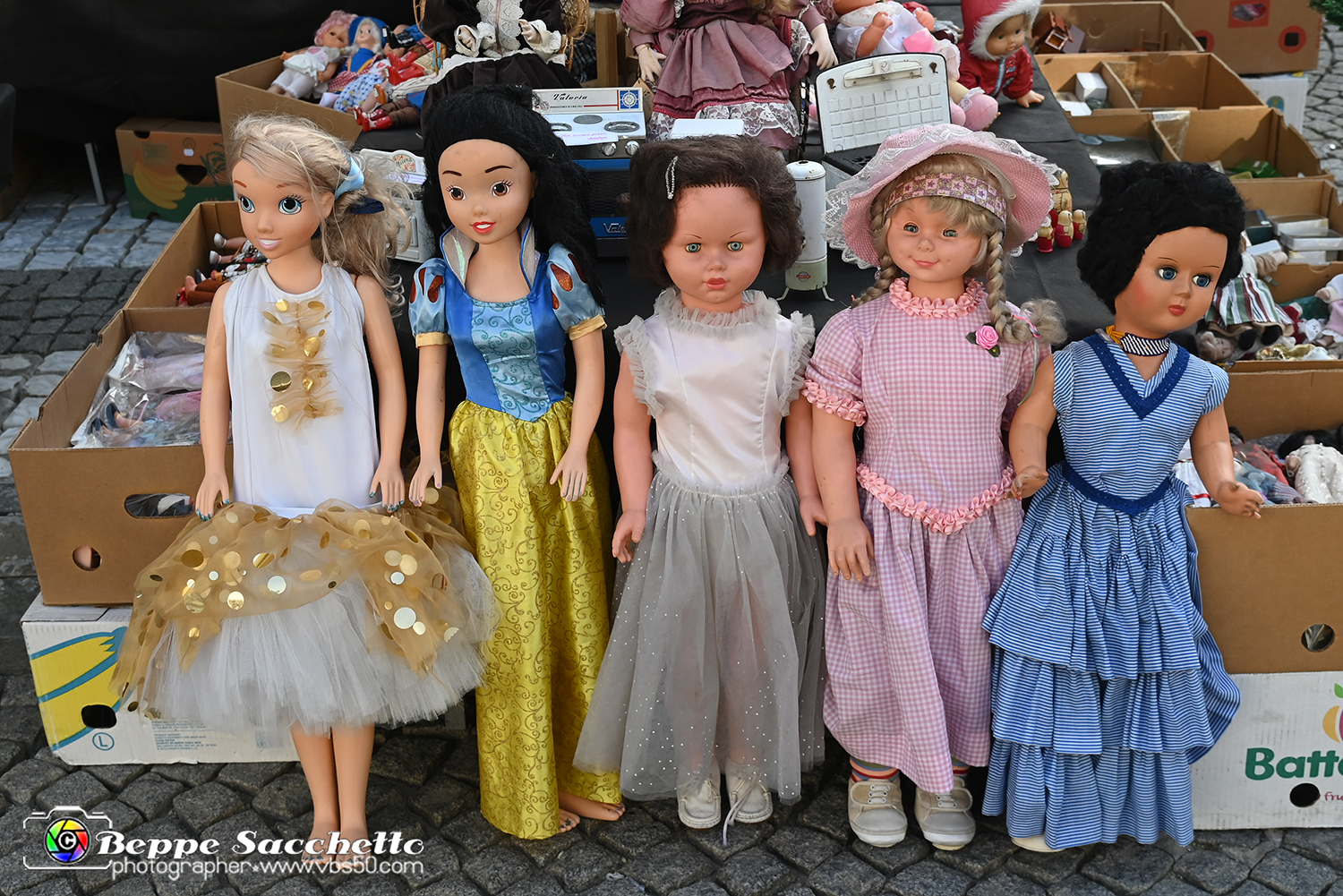 VBS_8186 - Mercatino dell'Antiquariato e dell'Hobbismo.jpg